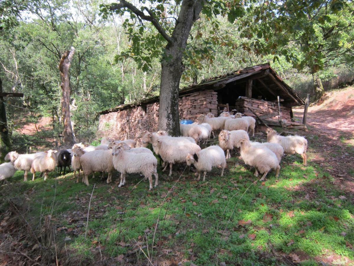 Casa Rural Lakoizketa Legasa Eksteriør billede